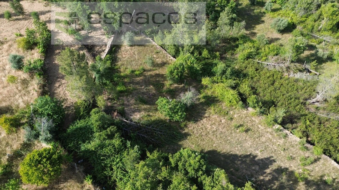 Terreno para Venda em Santo Andre das Tojeiras Foto 5