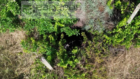 Terreno para Venda em Santo Andre das Tojeiras