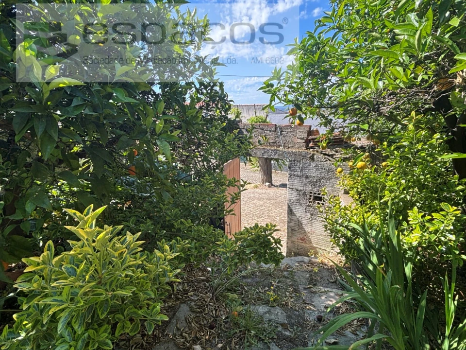 Moradia T3 para Venda em Rosmaninhal Foto 28
