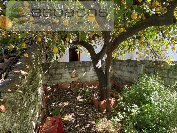 Moradia T3 para Venda em Rosmaninhal Foto 30