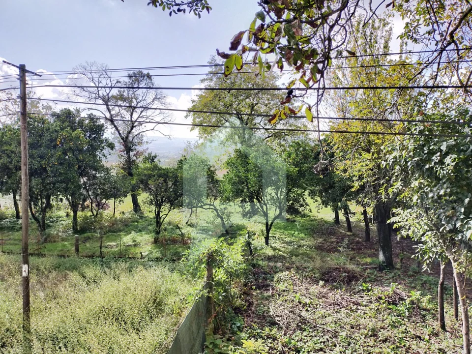 Moradia T2 para Venda em Abade de Neiva Foto 18