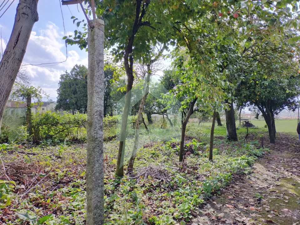 Moradia T2 para Venda em Abade de Neiva Foto 19