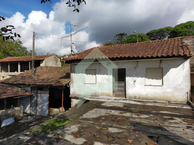 Moradia T2 para Venda em Abade de Neiva Foto 11