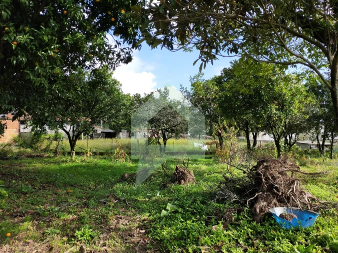 Moradia T2 para Venda em Abade de Neiva Foto 20