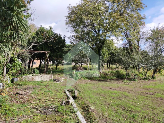 Moradia T2 para Venda em Abade de Neiva Foto 25