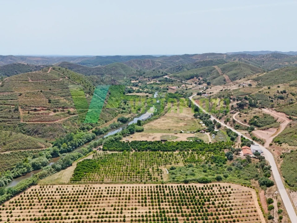 Quinta para Venda em Alferce Foto 18