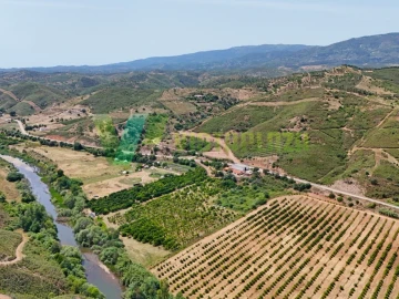 Quinta para Venda em Alferce