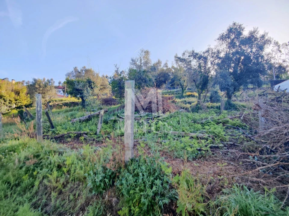 Terreno para Venda em Gondar e Orbacém Foto 4