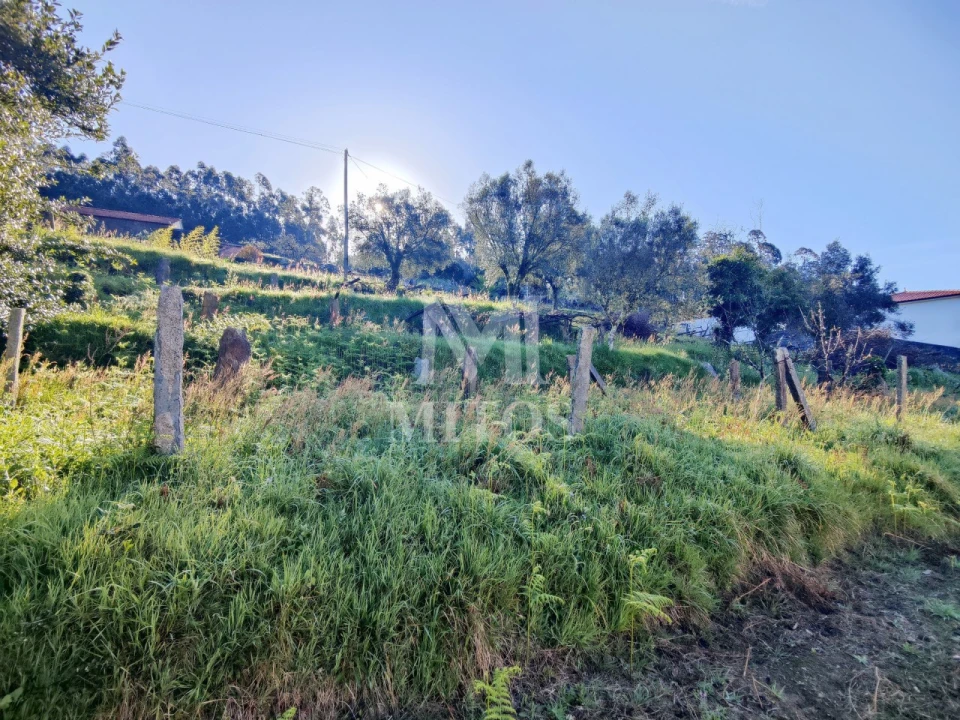 Terreno para Venda em Gondar e Orbacém Foto 6