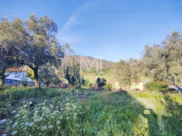 Terreno para Venda em Gondar e Orbacém