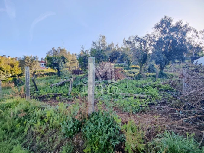 Terreno para Venda em Gondar e Orbacém Foto 4