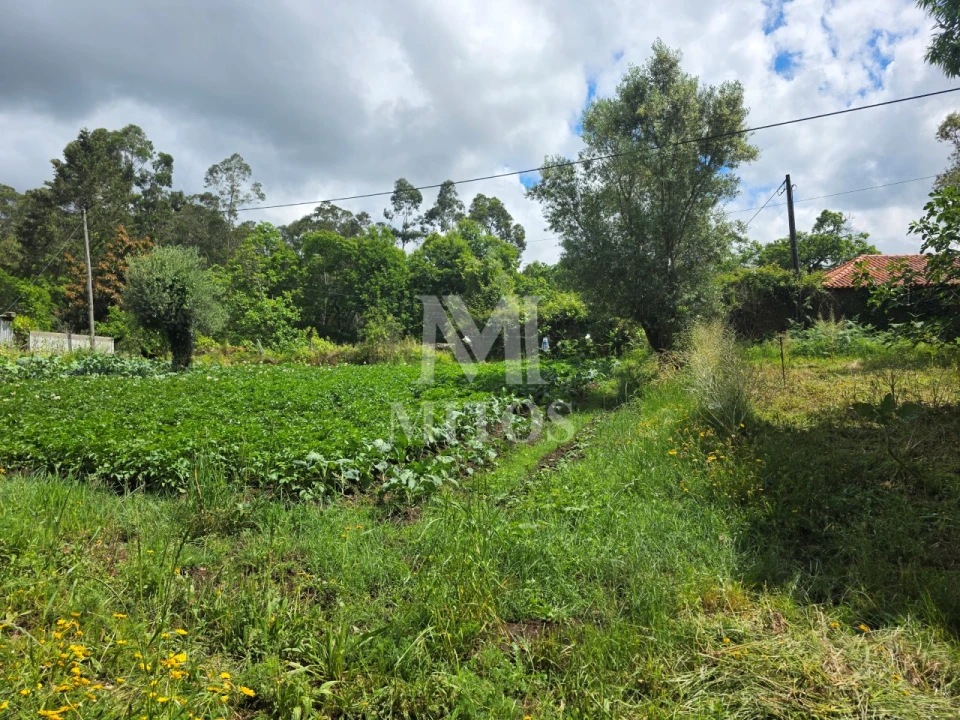 Moradia T2 para Venda em Fornelos e Queijada Foto 7