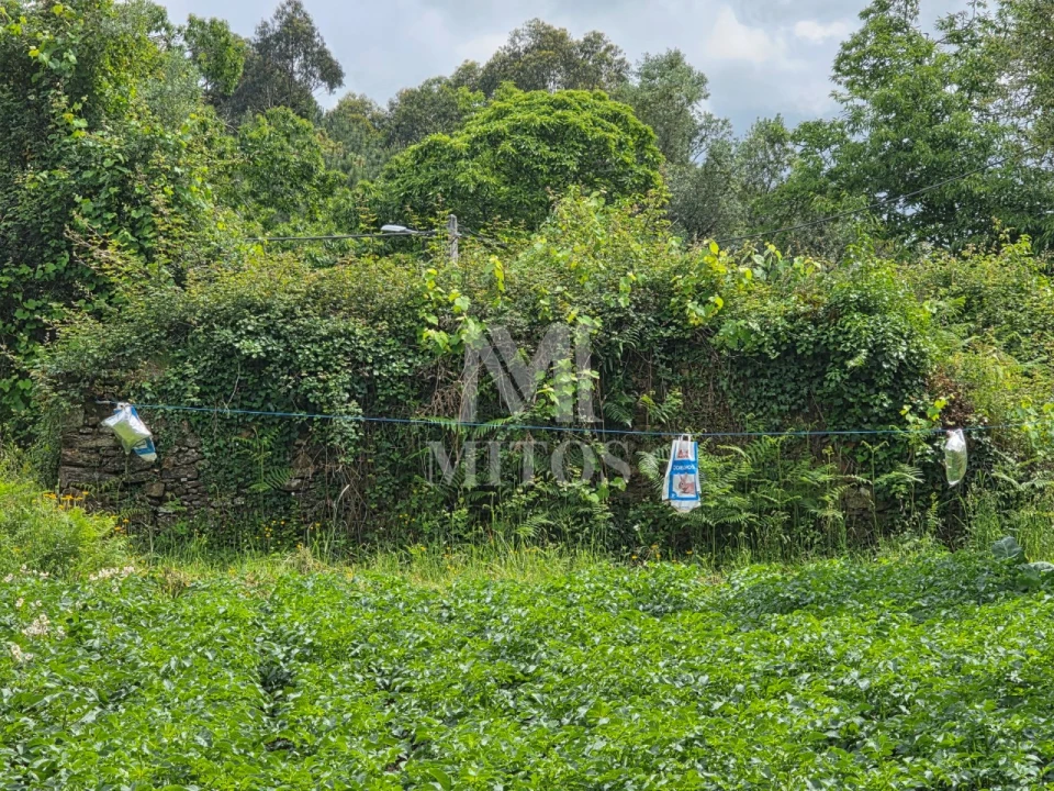 Moradia T2 para Venda em Fornelos e Queijada Foto 1