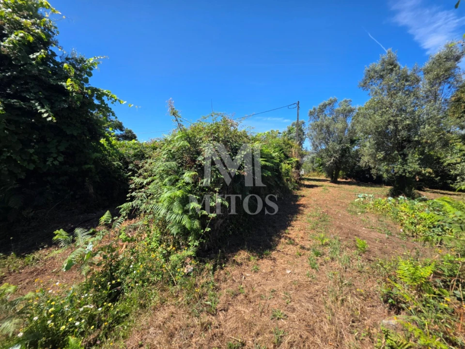 Moradia T2 para Venda em Fornelos e Queijada Foto 2
