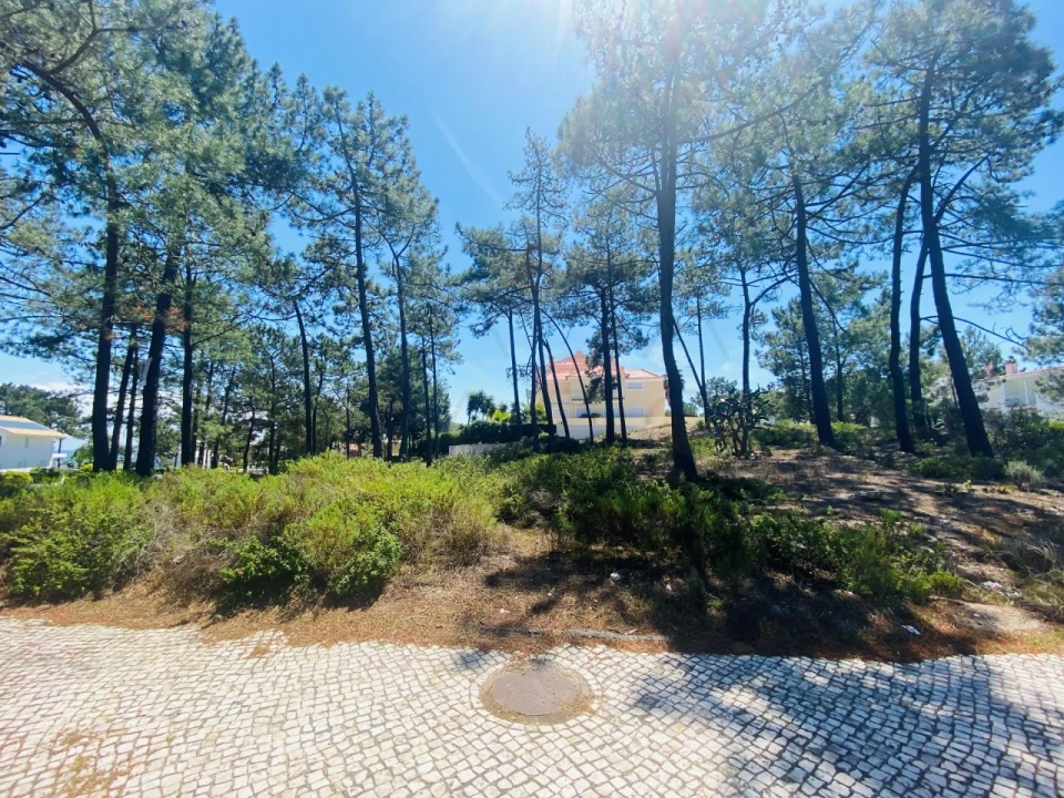 Terreno para Venda em Carvalhal Foto 17
