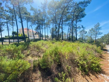 Terreno para Venda em Carvalhal