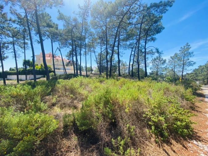 Terreno para Venda em Carvalhal Foto 18