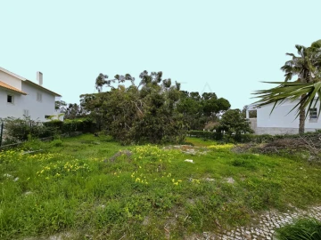 Terreno para Venda em Carvalhal