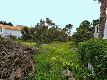 Terreno para Venda em Carvalhal