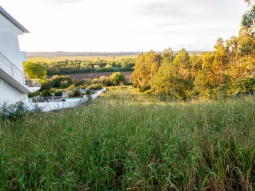 Terreno para Venda em Santo Varão