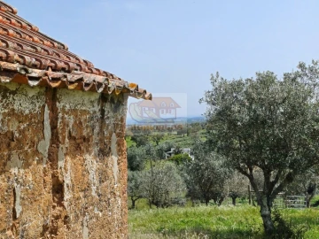 Terreno Misto para Venda em Grândola e Santa Margarida da Serra