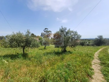 Terreno Misto para Venda em Grândola e Santa Margarida da Serra