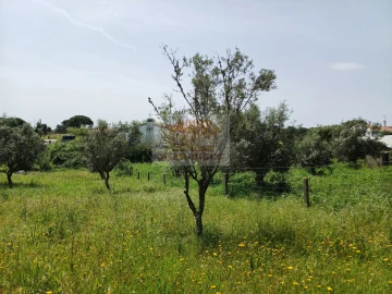Terreno Misto para Venda em Grândola e Santa Margarida da Serra