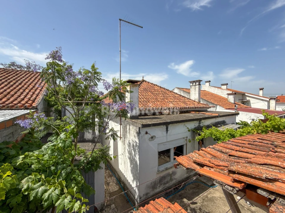 Moradia T3 para Venda em Vila Nova da Barquinha Foto 48