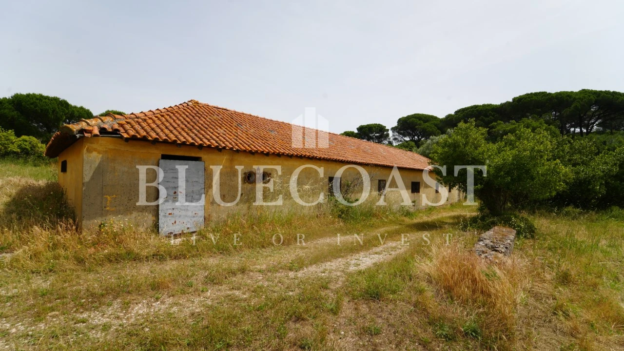 Moradia T20 para Venda em União das Freguesias de Setúbal Foto 18