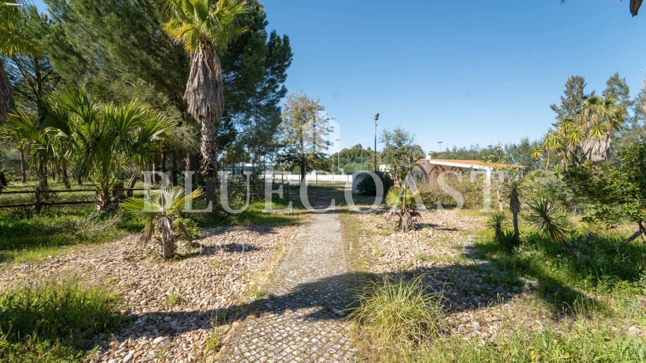 Quinta T10 para Venda em Palmela Foto 14