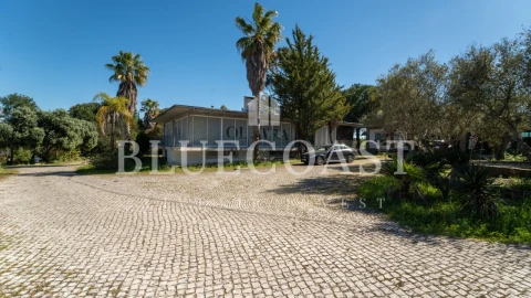 Quinta T10 para Venda em Palmela