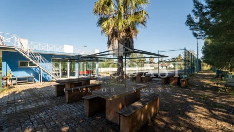 Quinta T10 para Venda em Palmela