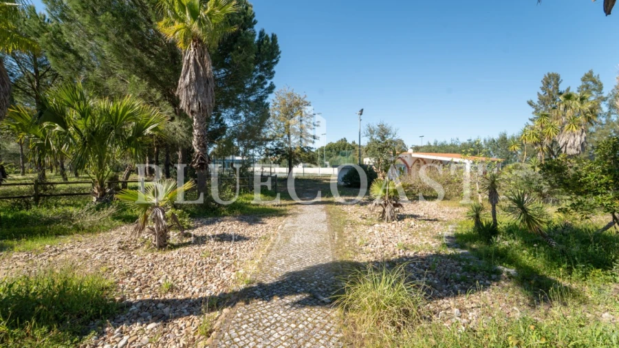 Quinta T10 para Venda em Palmela Foto 14