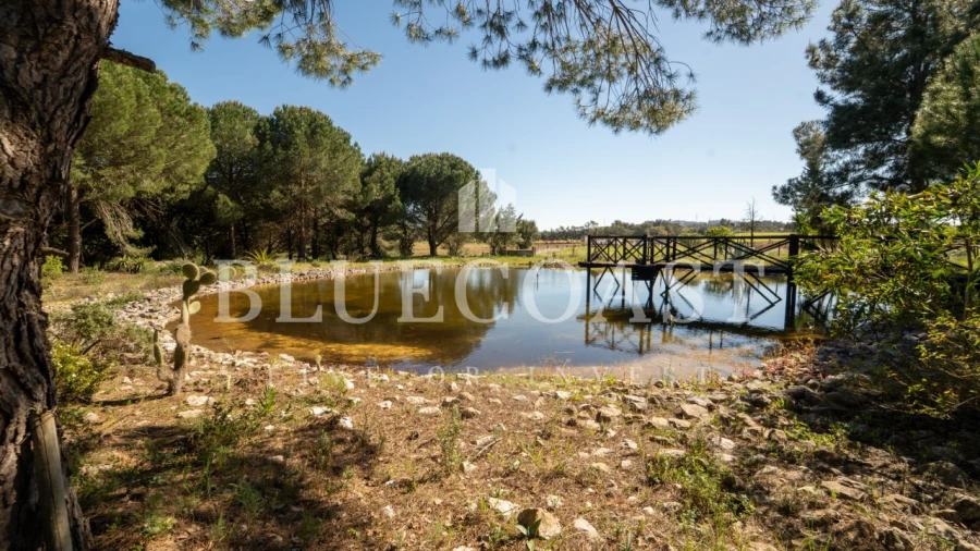 Quinta T10 para Venda em Palmela Foto 22