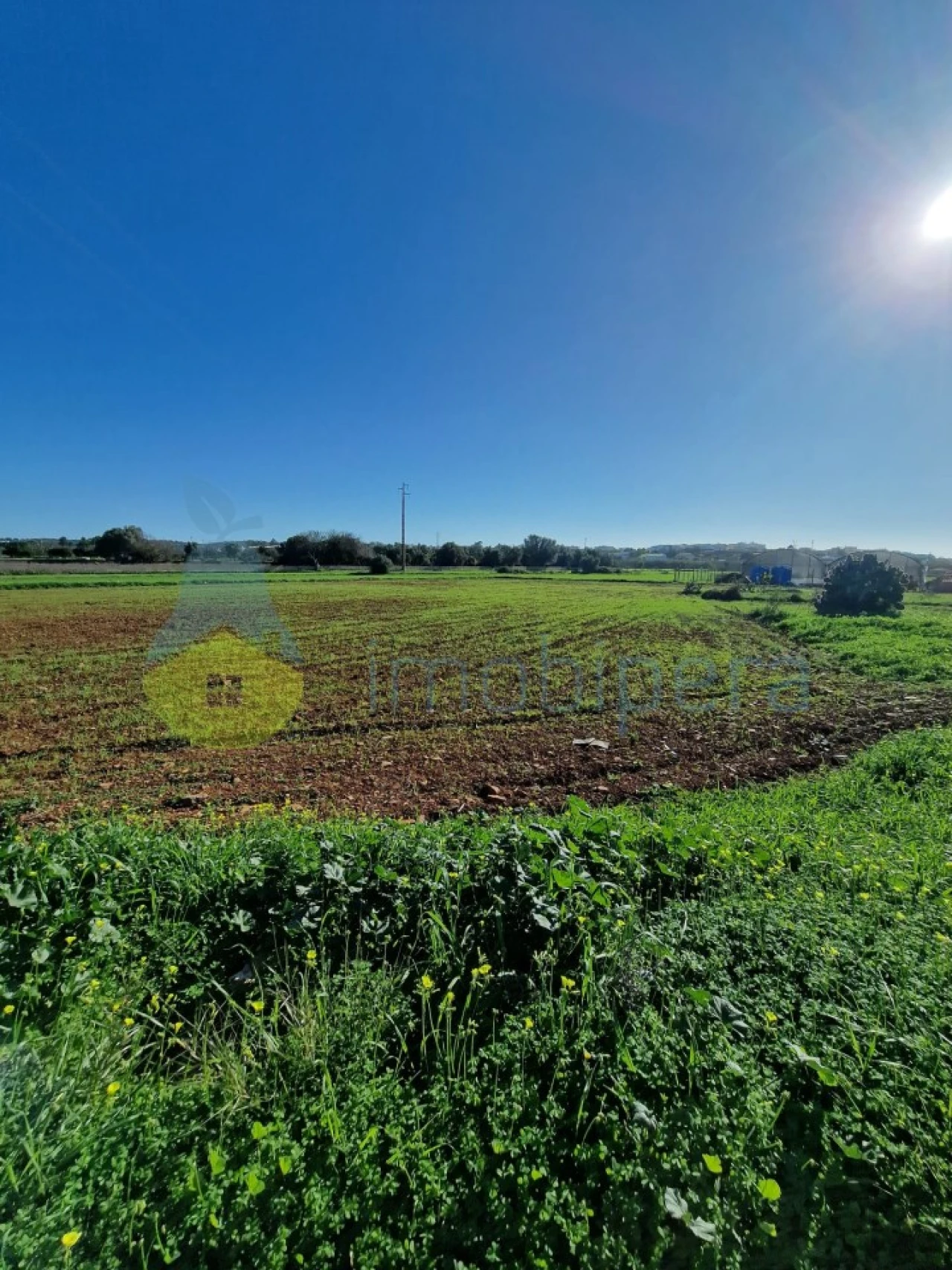 Moradia T3 para Venda em Odiaxere Foto 17