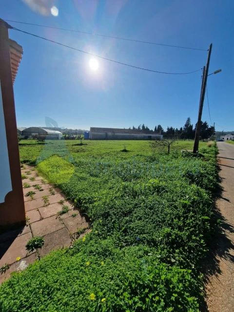 Moradia T3 para Venda em Odiaxere