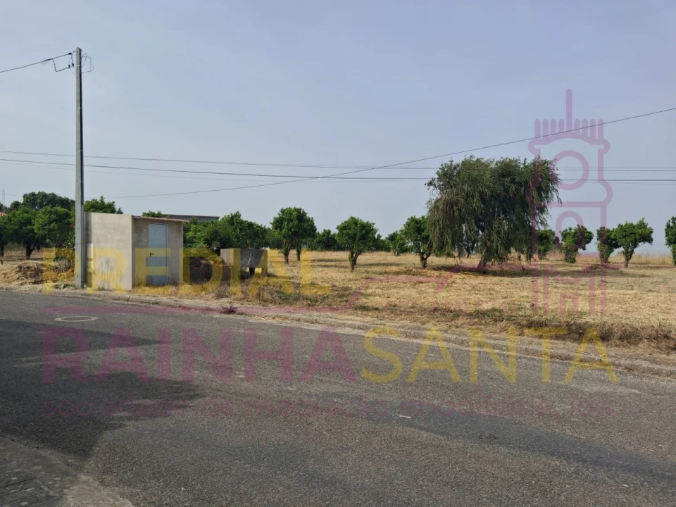 Terreno para Venda em Cartaxo e Vale da Pinta Foto 3