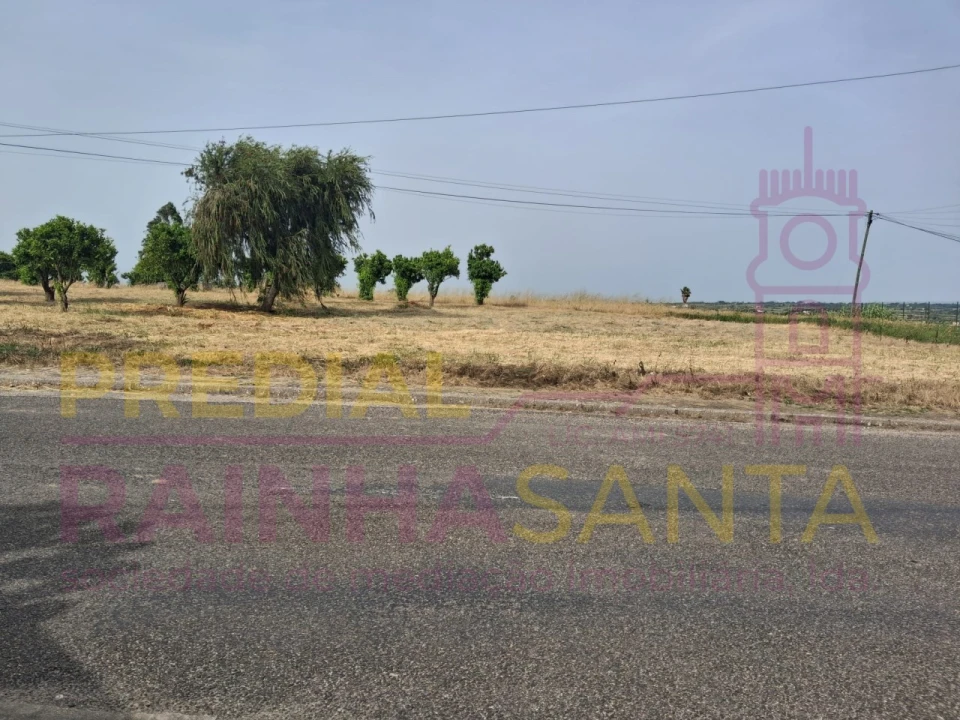 Terreno para Venda em Cartaxo e Vale da Pinta Foto 4