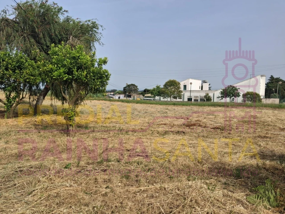 Terreno para Venda em Cartaxo e Vale da Pinta Foto 9