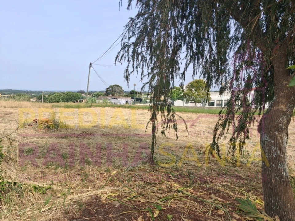 Terreno para Venda em Cartaxo e Vale da Pinta Foto 11