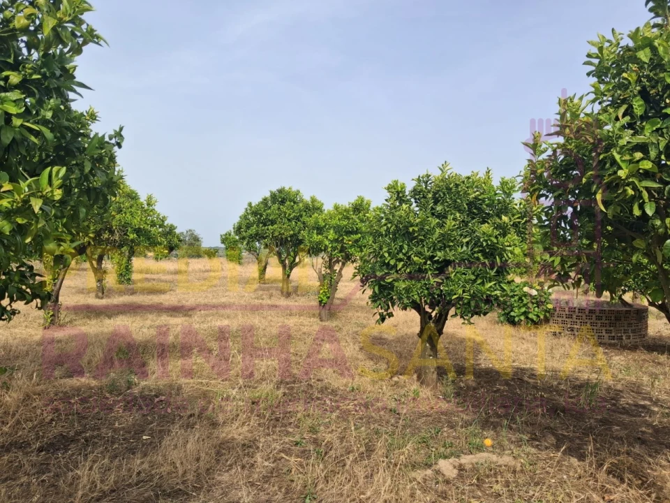 Terreno para Venda em Cartaxo e Vale da Pinta Foto 12