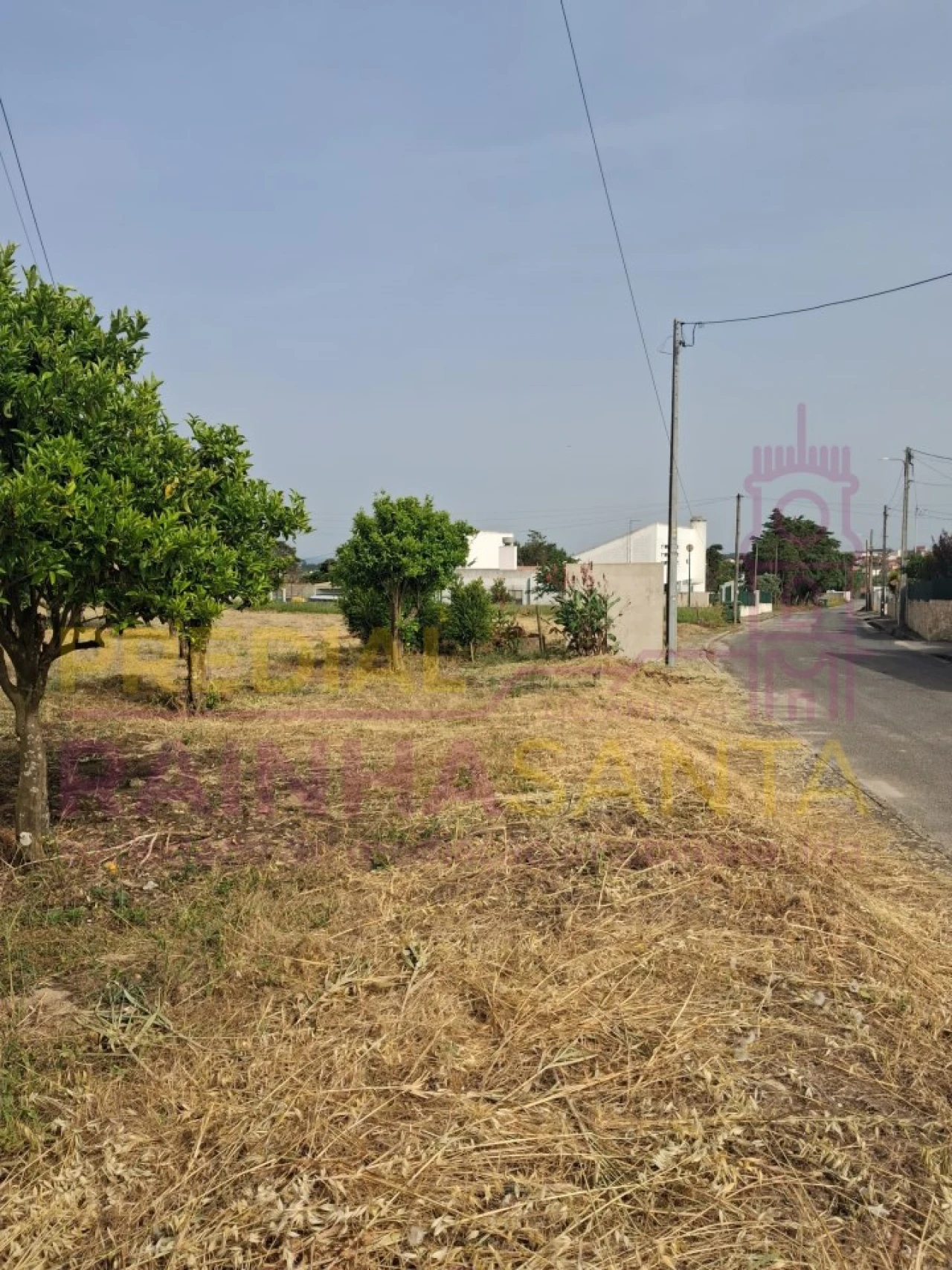Terreno para Venda em Cartaxo e Vale da Pinta Foto 13
