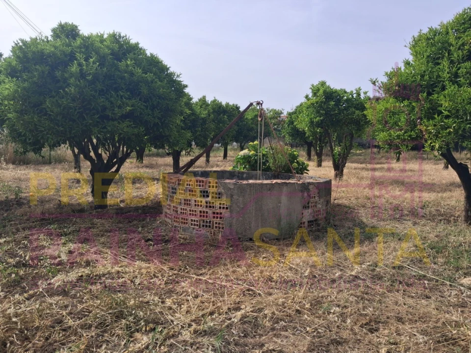 Terreno para Venda em Cartaxo e Vale da Pinta Foto 14