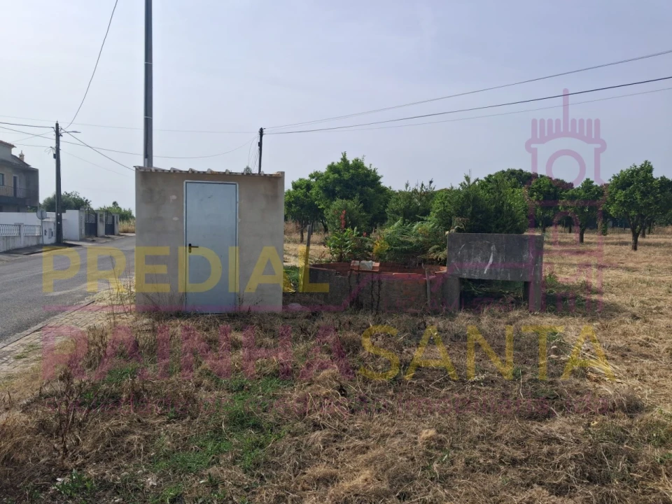 Terreno para Venda em Cartaxo e Vale da Pinta Foto 15