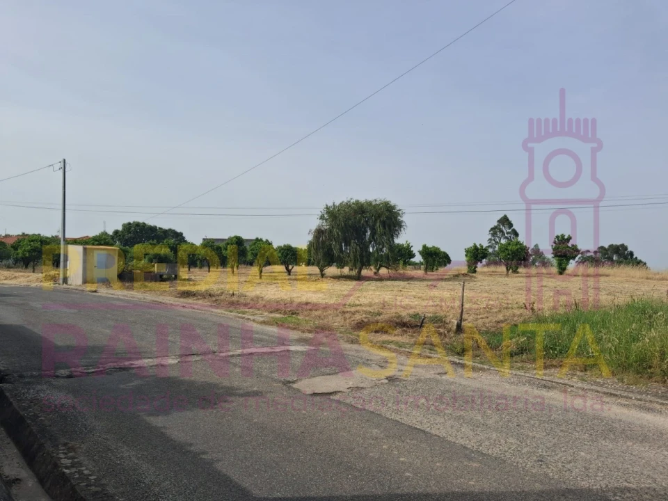 Terreno para Venda em Cartaxo e Vale da Pinta Foto 16