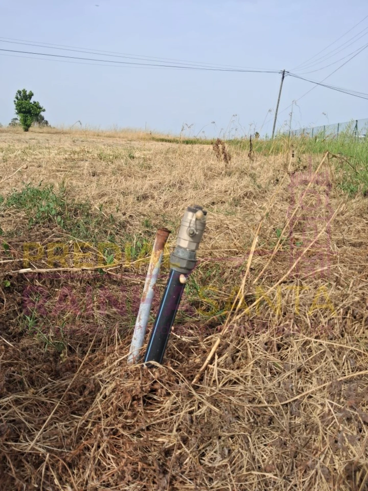 Terreno para Venda em Cartaxo e Vale da Pinta Foto 17
