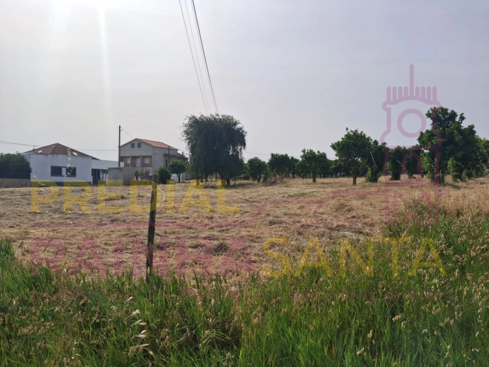 Terreno para Venda em Cartaxo e Vale da Pinta Foto 18