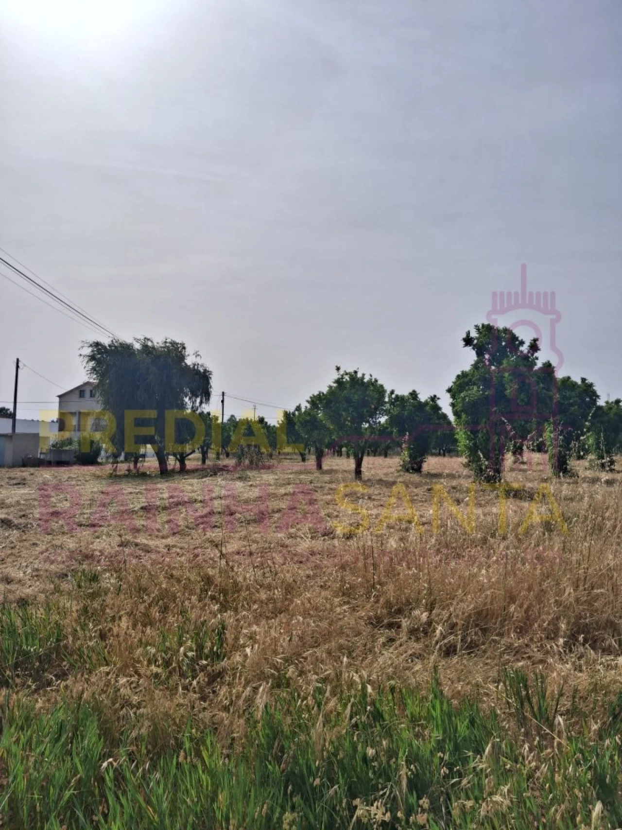 Terreno para Venda em Cartaxo e Vale da Pinta Foto 19
