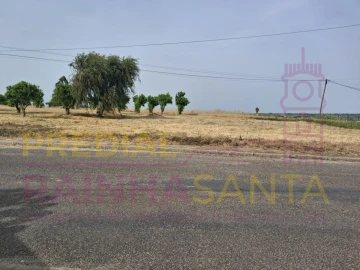 Terreno para Venda em Cartaxo e Vale da Pinta