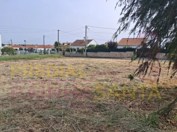 Terreno para Venda em Cartaxo e Vale da Pinta